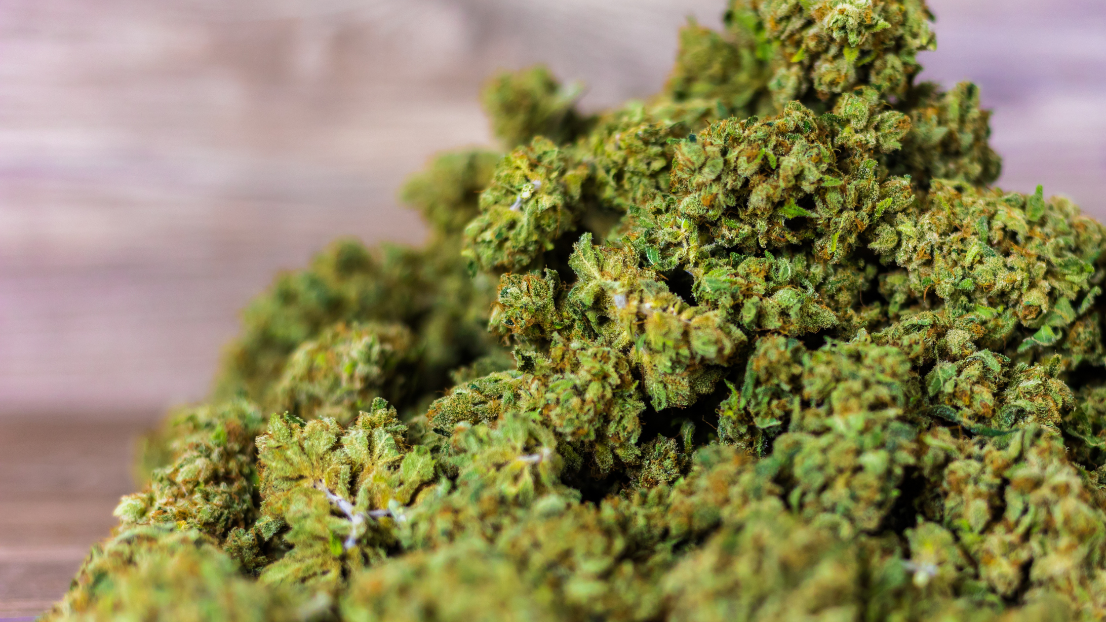 Comment améliorer la rentabilité d’une boutique CBD sans augmenter les prix
